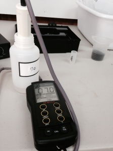Calibrate pH meter with 7.0 buffer