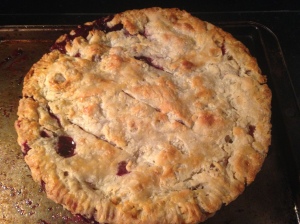 1st BB Pie of 2015 (See Sept14 Post for the recipe)